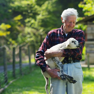 Farmer holding lamb